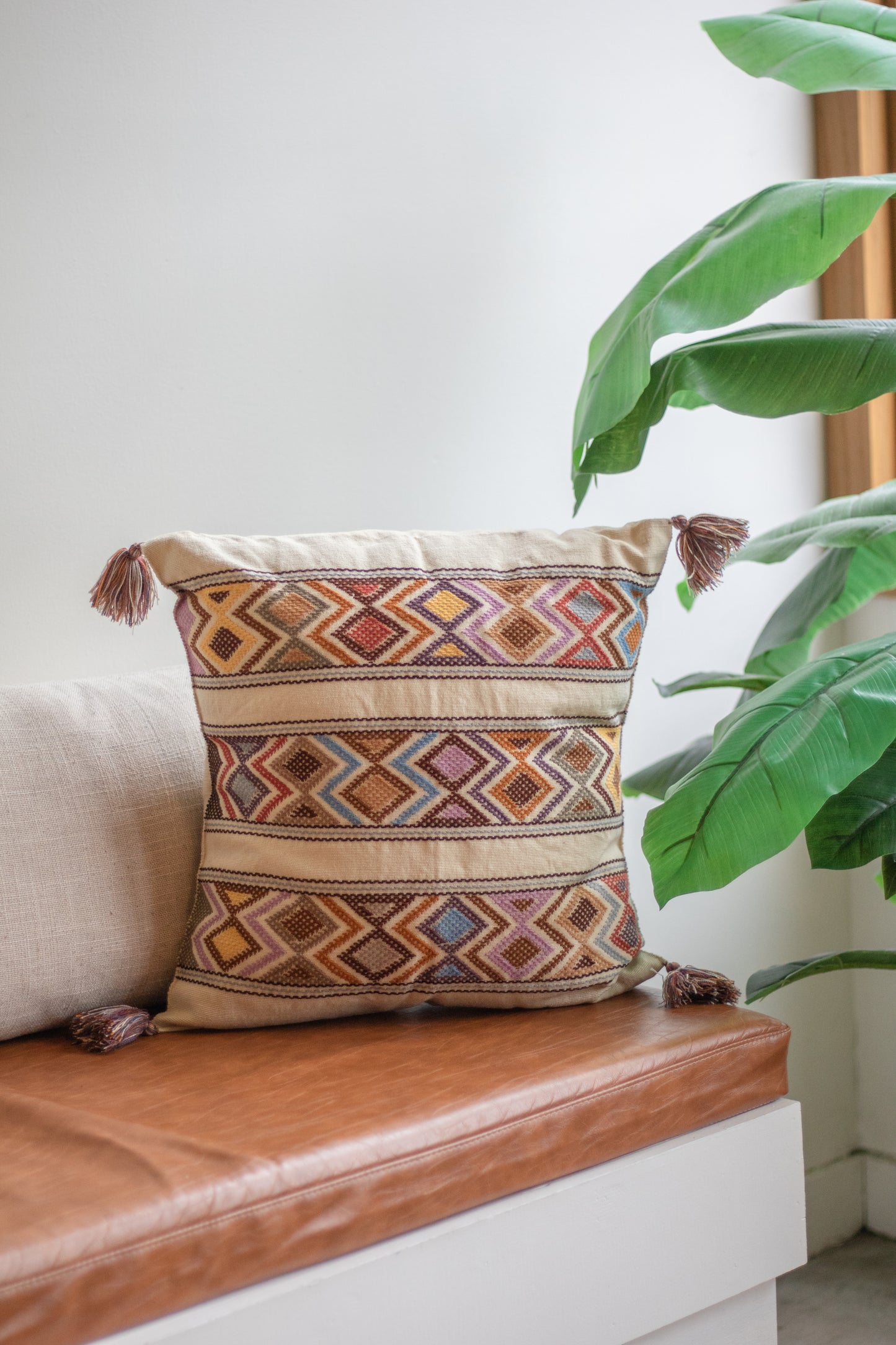 Tassel Pillow Case