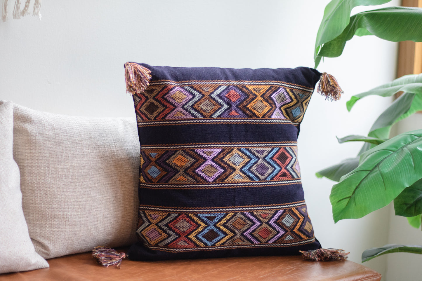 Tassel Pillow Case